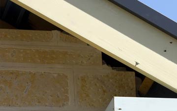 soffit repair Ellistown